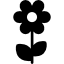 flower64